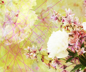 作品艺术丰富多彩的一束野兰花和朵景背的鲜束形状图片