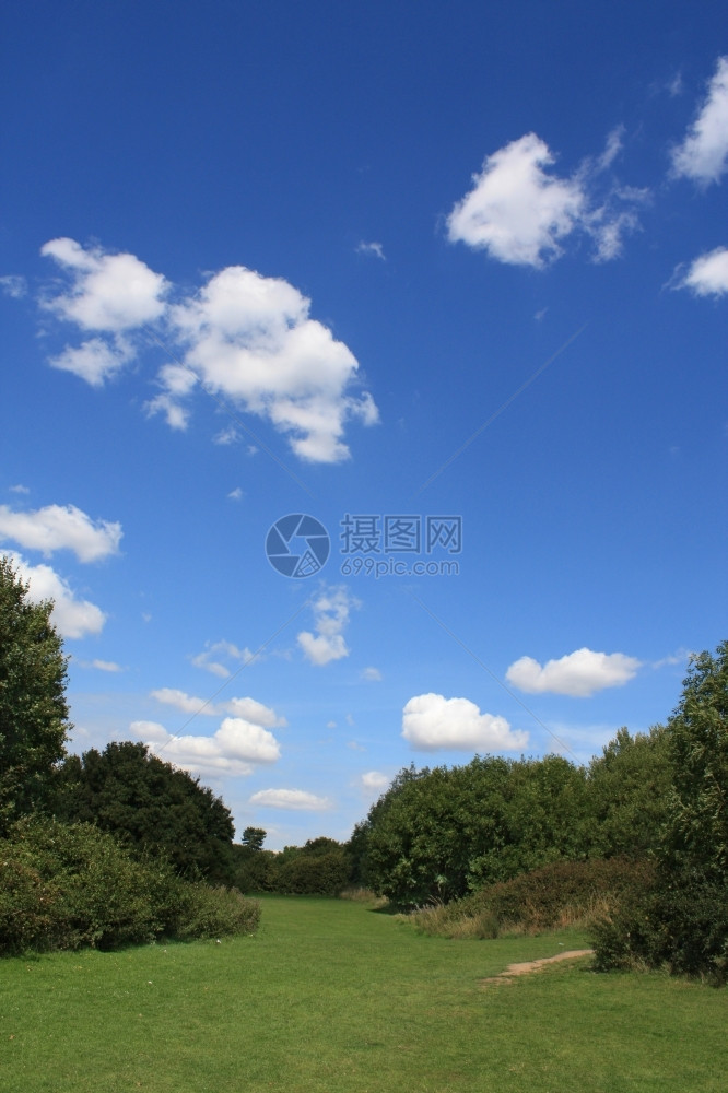 英国科尔切斯特显示绿色植被和蓝云天空的夏月风景树图片