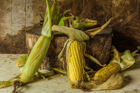 充足吃季节仍然活着玉米被放在木材上图片