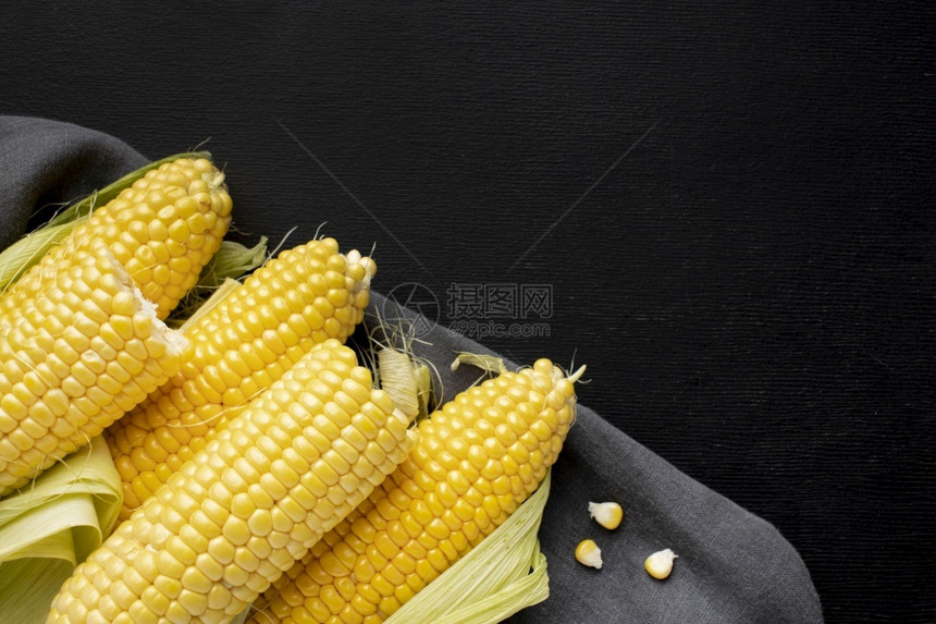 坚果动物美景高角度味玉米带复制间距漂亮照片高角度好吃玉米带复制间距人们图片