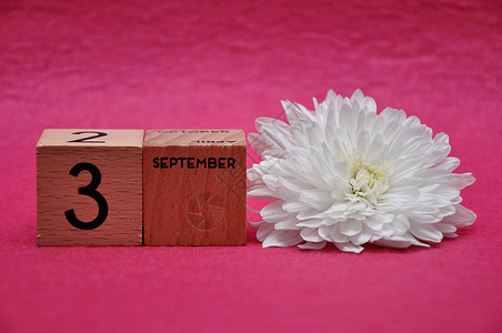 数字9月3日在木制块上9月3日粉红背景的白雀单身颜色图片