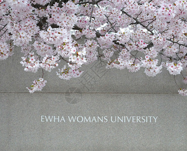 首尔梨花女子大学的樱花图片