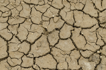 地球干旱保加利亚卢多戈里附近田地干燥的土夏天高清图片