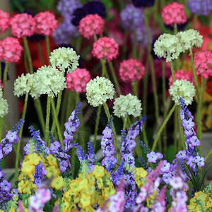 人造的花盆绽放装饰人造花朵的多彩色图片