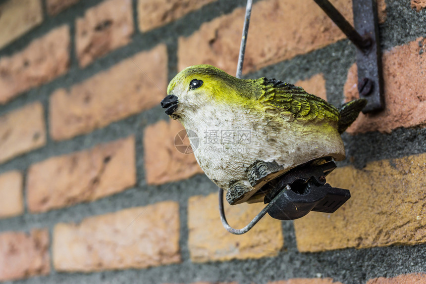 羽毛绿色砖墙上假的罗宾鸟花园装饰雕塑黄色的图片