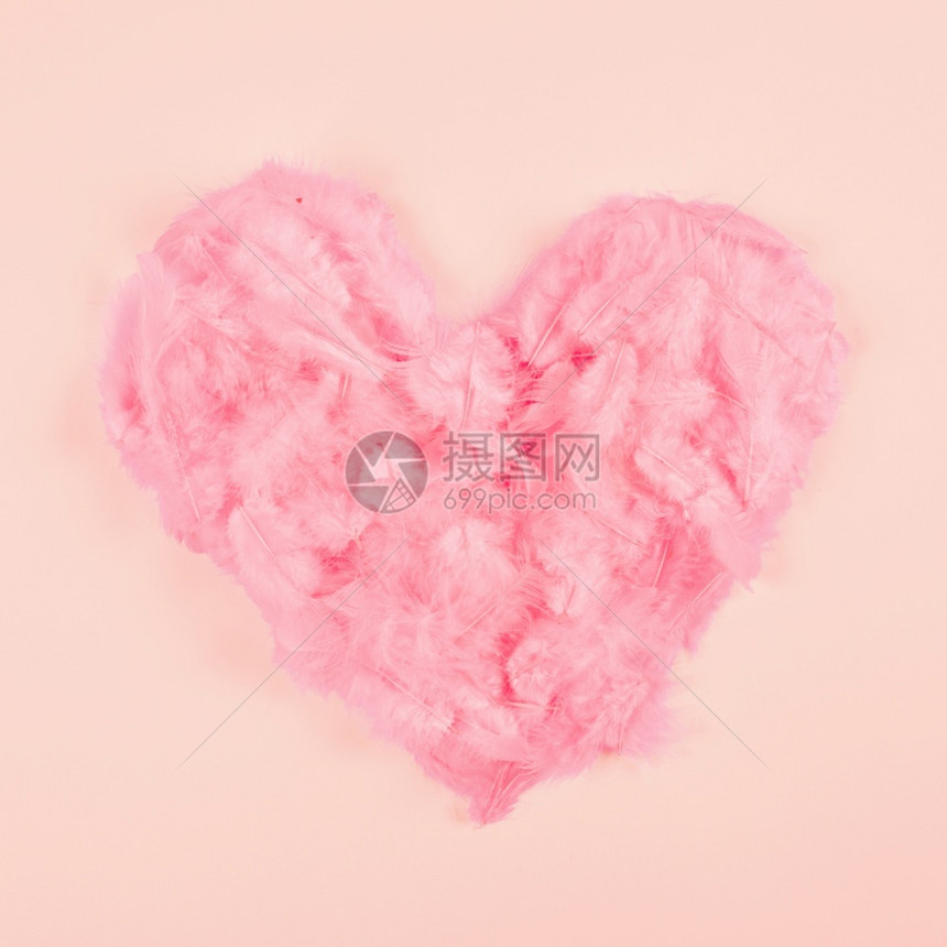 情感鸟粉红软羽毛心形桃色背景美丽照片粉红软羽毛心形桃色背景蜜彩情人节图片