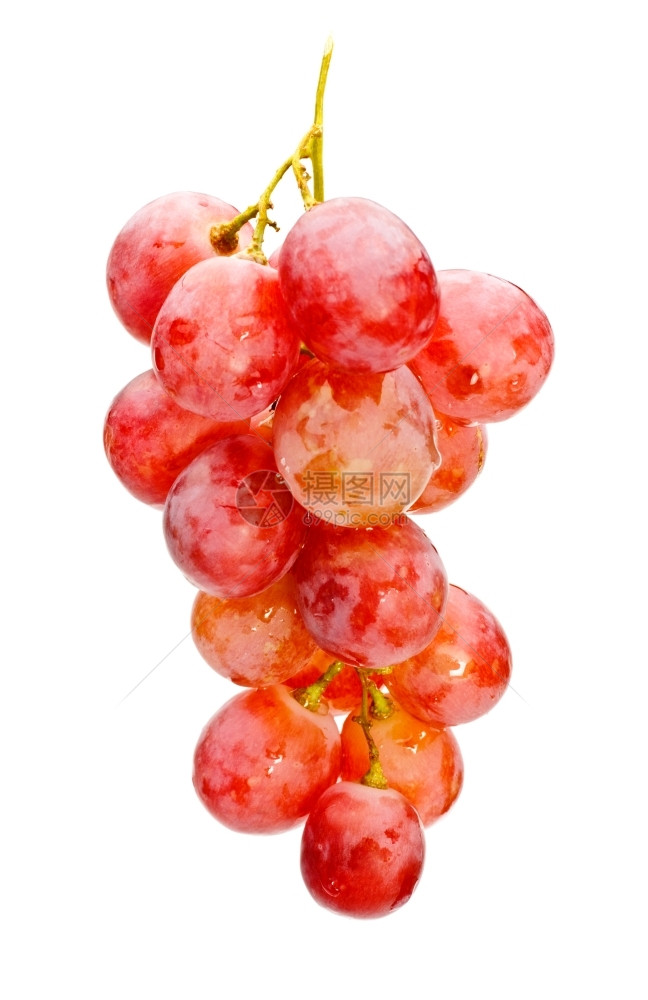 维他命铺设收成白色的红葡萄被隔绝图片