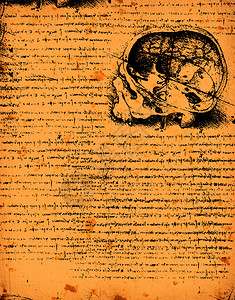 人类1492年达芬奇在纹理背景上的解剖艺术浅男人图片