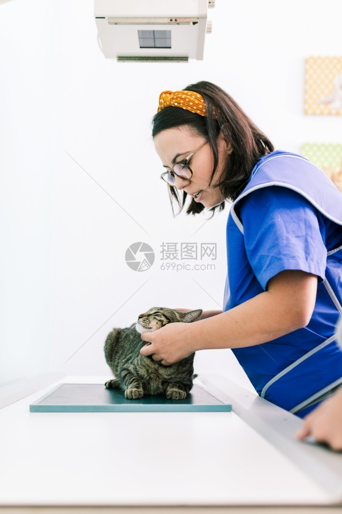 治疗小猫咪的兽医图片