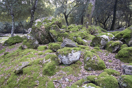 石灰岩地区地貌学石灰石高清图片