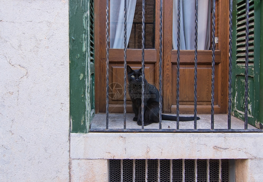 传统的黑色阳光西班牙巴利阿里群岛马略卡阳台上的黑猫图片