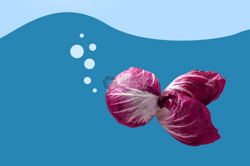 水新鲜卷心菜以鱼形状的红弧度成鱼概念图象图片