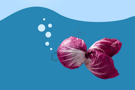 水新鲜卷心菜以鱼形状的红弧度成鱼概念图象图片