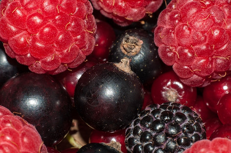 营养水果小吃由熟的清鲜多汁夏季浆果混合而成图片