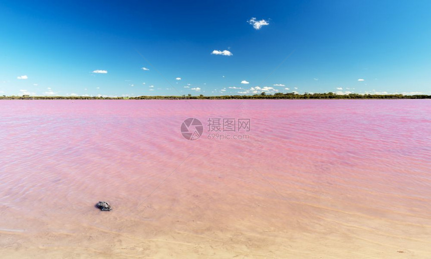 一种位于澳大利亚维多州Dimboola附近的粉红湖旅游颜色图片