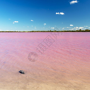 海岸位于澳大利亚维多州Dimboola附近的粉红湖自然明亮的图片
