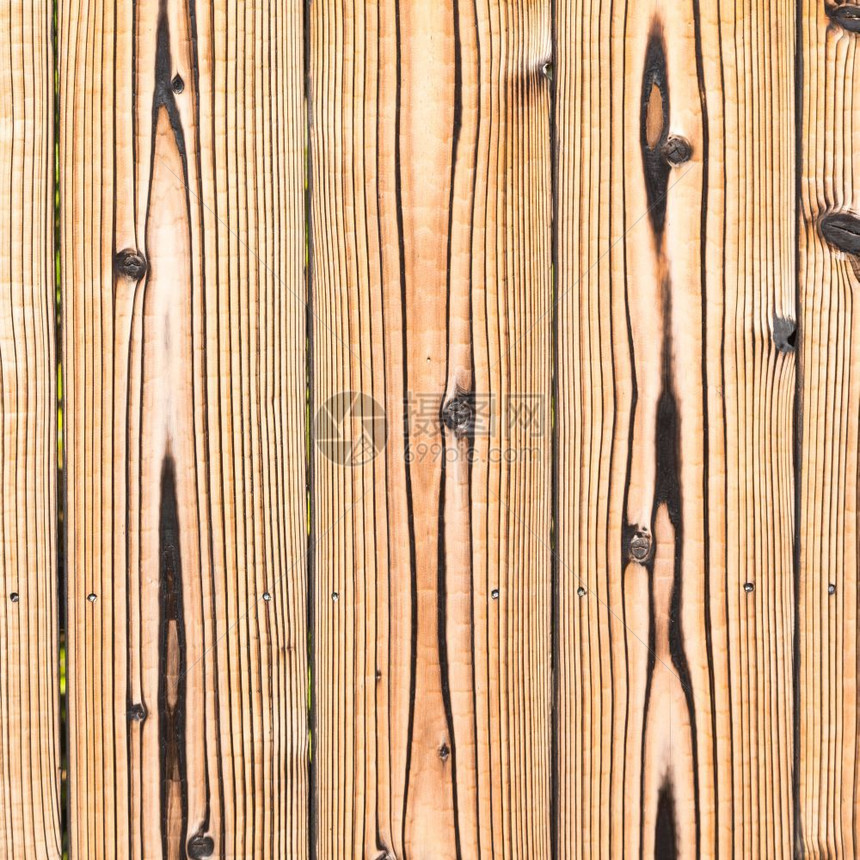 墙纸空白的旧木松现场的源头风化图片