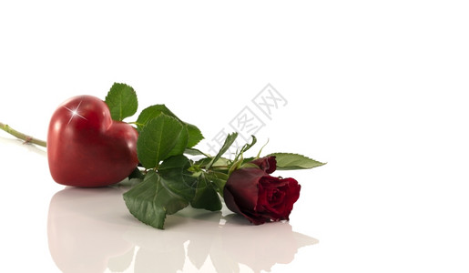红玫瑰心脏形状白无声红色的浪漫情人节图片