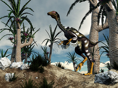 特佐迪卡莫利亚一只恐龙在阴云的日落前行走在威利亚索尼树丛中行走3D使卡迪普特里克斯恐龙变成3D之中步行风景优美设计图片