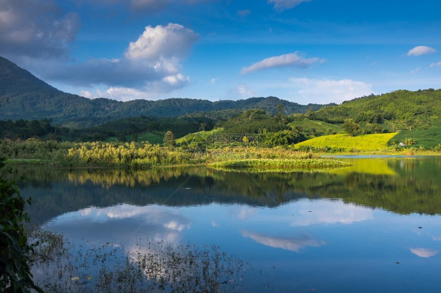 池塘风景泰国NamNgim区SongKhwaeNan水和反应库旅行图片