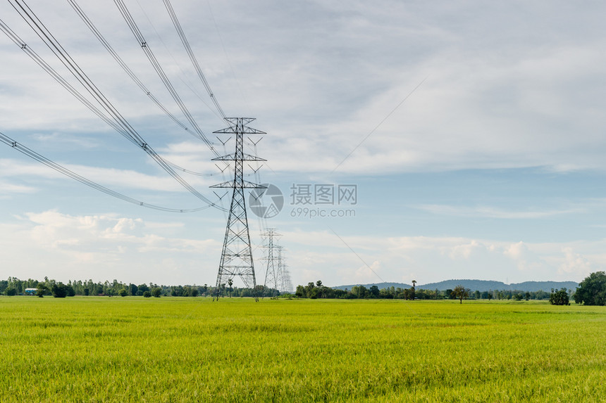 与稻田地貌的电线连接缆自然金属丝场地图片