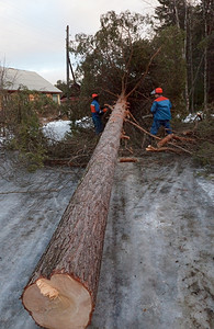 技术救援人员在飓风冬季冰雪过后将树从公路上拔除逆境安全图片