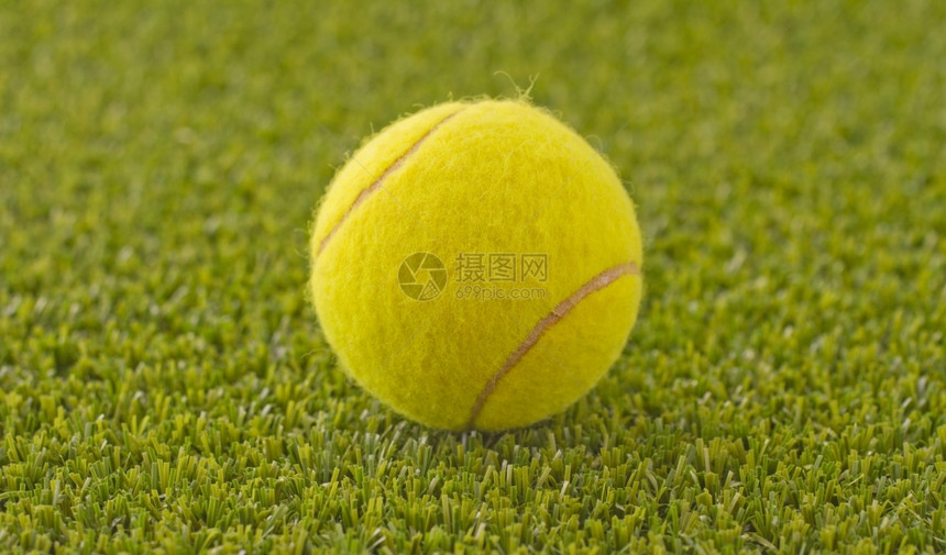 绿色草地上的黄网球运动员健康一种图片