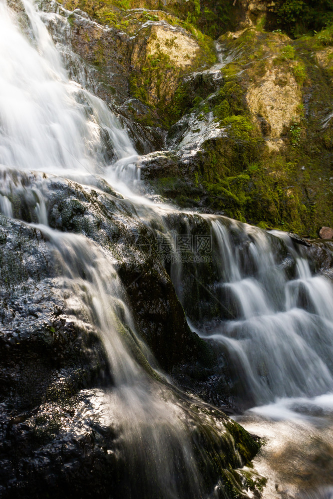 美丽自然由夏季森林山上河瀑布沿行走图片