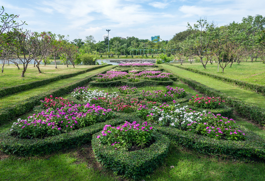花园美丽风景城市公园湖附近的鲜花灌木图片