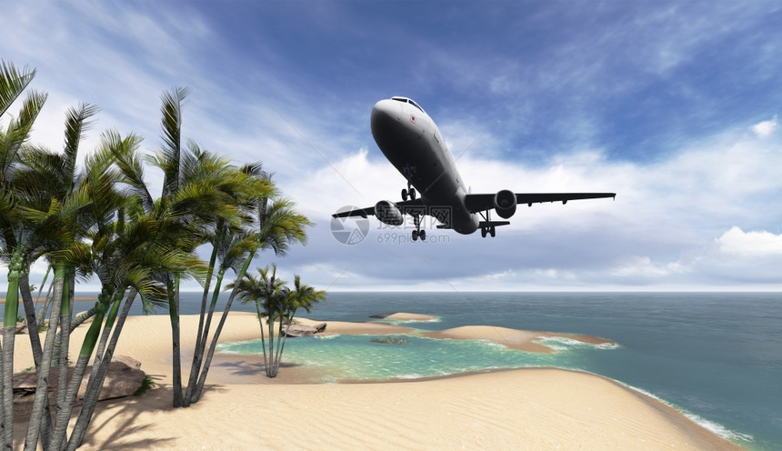 空气飞越3D软件制成的棕榈树客机巨大的图片
