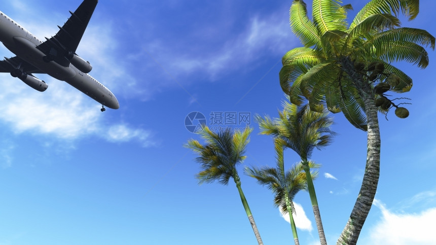 天空飞越3D软件制成的棕榈树乐趣航空图片