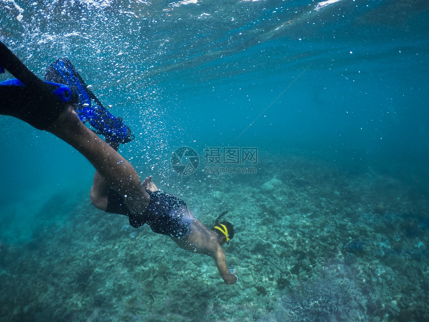 极端美丽男人类可以跳水到海下进行珊瑚摄影图片