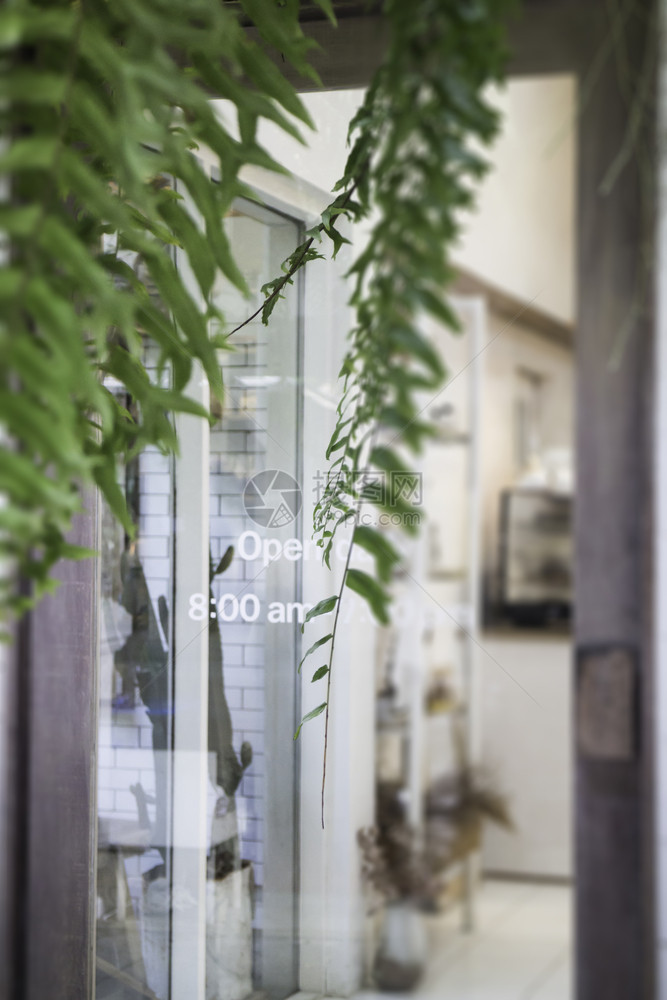 盆栽在商店门上装饰的绿色工厂库存照片美丽夏天图片