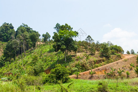 地区麻烦者有山坡在上和居住驾驶骑绿色图片