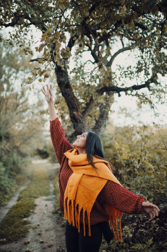年轻女子跳上树来抓一只梨子年轻女试图从树去抓一只梨子黑发橙外部图片