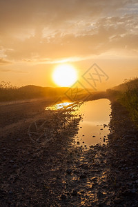 场地早晨田里有水坑的Misty农村道路太阳图片