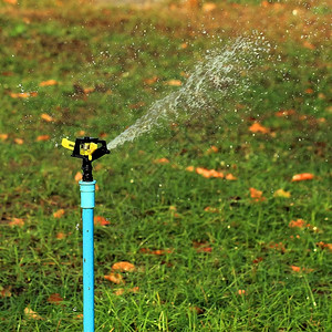 环境花园灌溉系统或喷水洒器院子农业图片