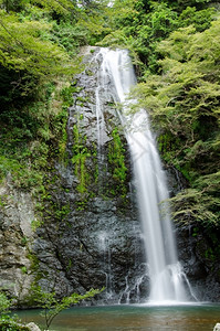森林深的日本明诺准西公园水倒在日本美诺准西公园上并配有绿树的美浓图片