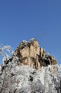 冷杉雾凇岩石寒冬的喜月和山峰与蓝天图片