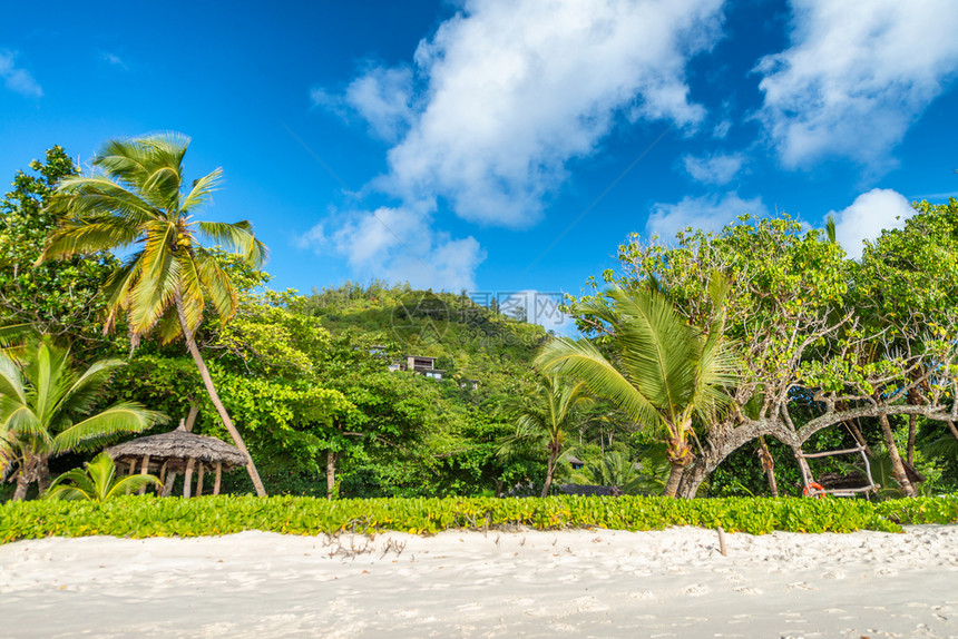 热带海滩和树木映衬美丽的蓝天假日概念骗局象征自然蓝色的图片