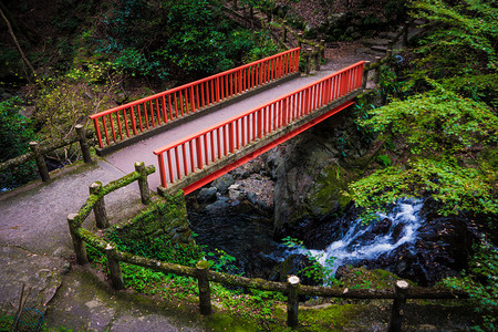 叶子日本大阪市明诺公园瀑布或宇传统的落下图片