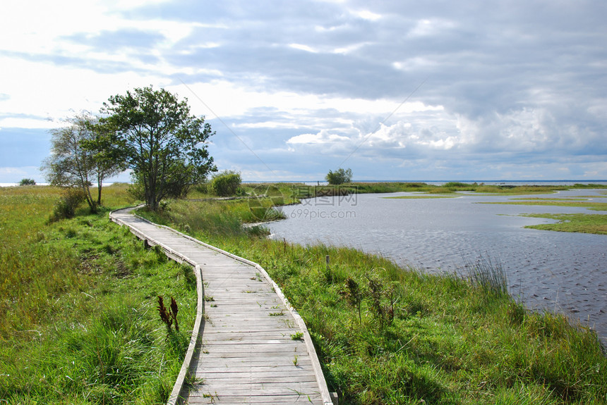 晴天在瑞典奥兰岛Woodenfofbridge跨越一个自然保护区的湿地库尔曼穿越图片