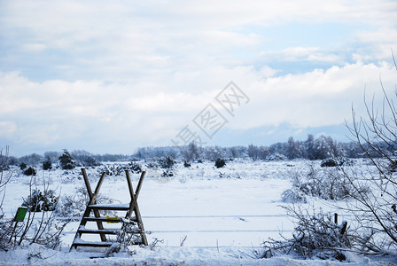 冬天一月在瑞典群岛奥兰的荒野景色中季节背景图片