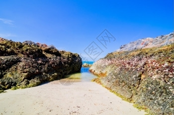 假期令人惊叹的清除泰国美丽岛屿向上飘动天堂有清澈海水和石头滩图片
