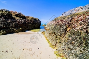 诱人的清除泰国美丽岛屿向上飘动天堂有清澈海水和石头滩景观图片