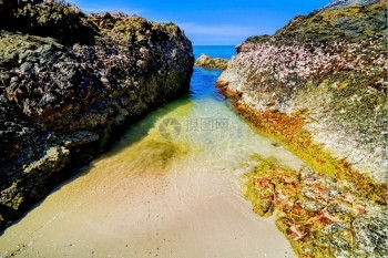 泰国美丽的岛屿向上飘动天堂有清澈海水和石头滩假期松弛采取图片