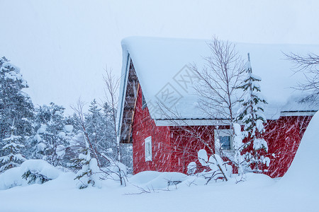 冬季芬兰深森林和许多有红色墙壁的雪林屋在森和雪瀑上落红房子树新的降雪图片