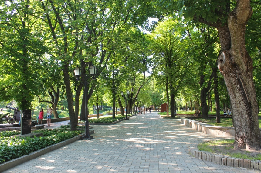 森林人们美丽的公园有很多绿树美丽的城市公园有道路和绿树通图片