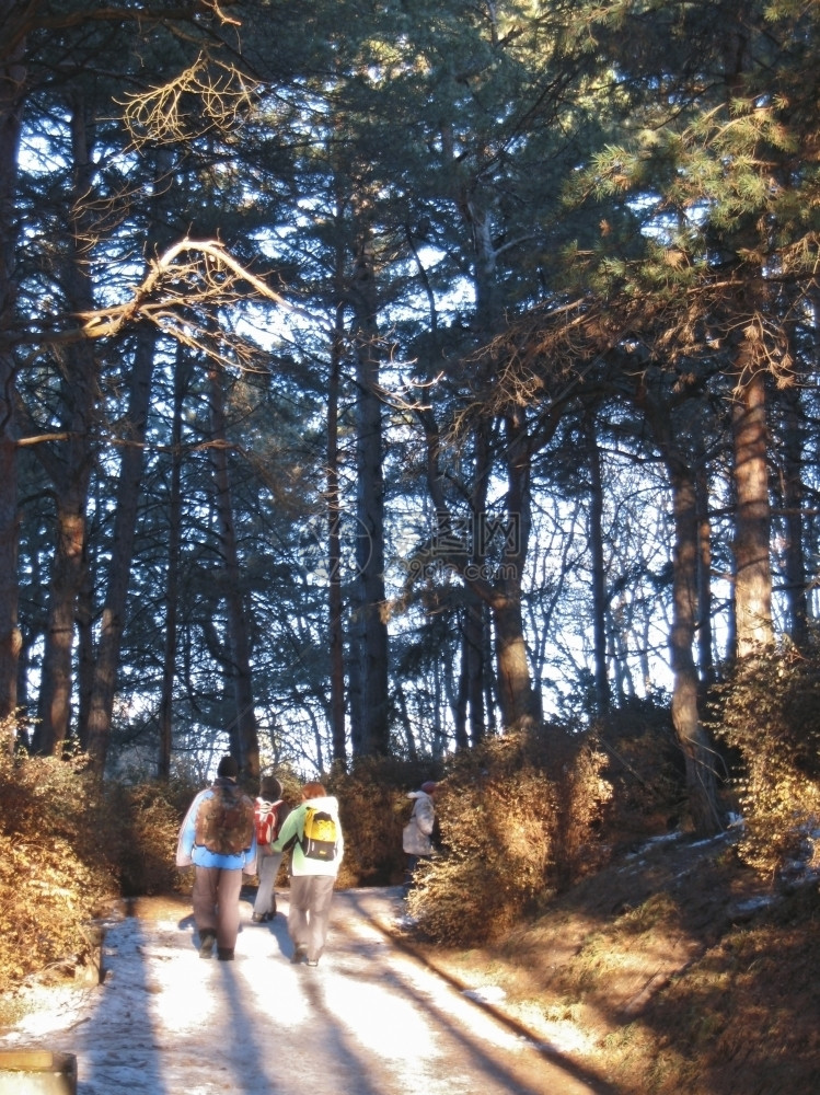 闪耀旅游队前往冬季考卡的旅游队伍成人团图片