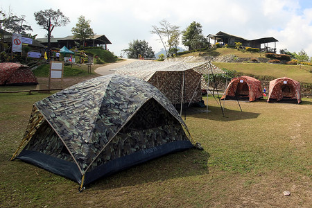 在营地点草上扎营帐篷一种自然远足图片